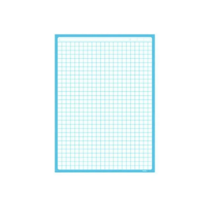 PAPELOGRAFO CUADRICULADO X10 UNIDADES